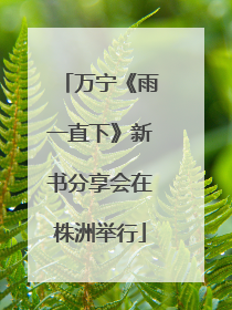 万宁《雨一直下》新书分享会在株洲举行