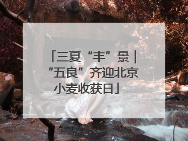 三夏“丰”景｜“五良”齐迎北京小麦收获日