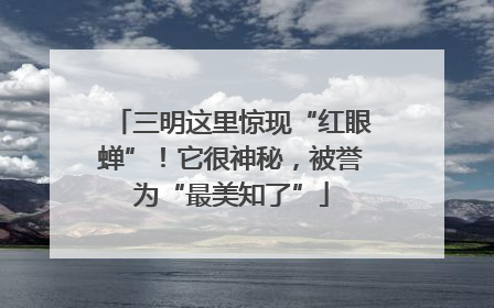 三明这里惊现“红眼蝉”！它很神秘，被誉为“最美知了”