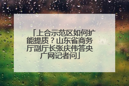 上合示范区如何扩能提质？山东省商务厅副厅长张庆伟答央广网记者问