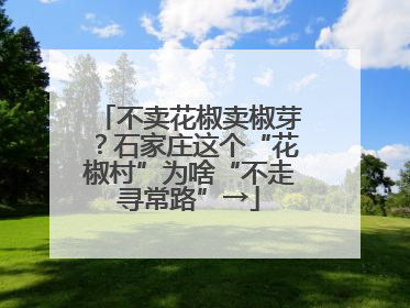 不卖花椒卖椒芽？石家庄这个“花椒村”为啥“不走寻常路”→