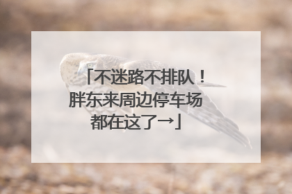 不迷路不排队！胖东来周边停车场都在这了→