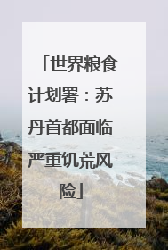 世界粮食计划署：苏丹首都面临严重饥荒风险