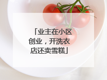 业主在小区创业，开洗衣店还卖雪糕