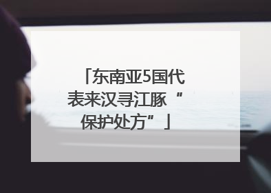 东南亚5国代表来汉寻江豚“保护处方”