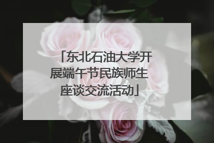 东北石油大学开展端午节民族师生座谈交流活动