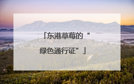 东港草莓的“绿色通行证”
