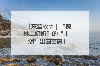 东营故事｜“槐林二奶奶”的“土潮”出圈密码