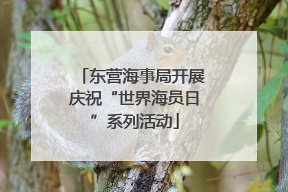 东营海事局开展庆祝“世界海员日”系列活动