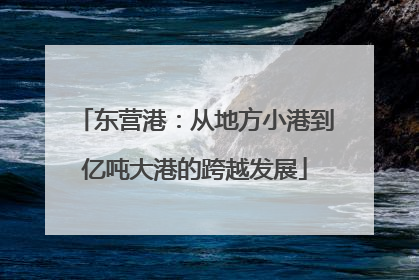 东营港：从地方小港到亿吨大港的跨越发展