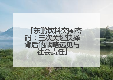 东鹏饮料突围密码：三次关键抉择背后的战略远见与社会责任