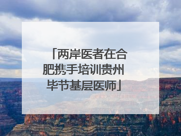 两岸医者在合肥携手培训贵州毕节基层医师