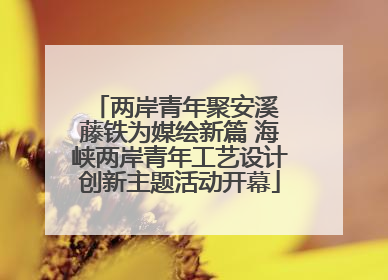 两岸青年聚安溪 藤铁为媒绘新篇 海峡两岸青年工艺设计创新主题活动开幕