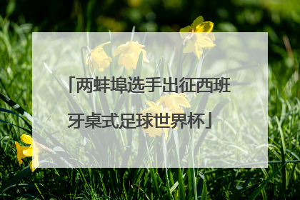 两蚌埠选手出征西班牙桌式足球世界杯