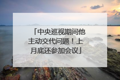 中央巡视期间他主动交代问题！上月底还参加会议