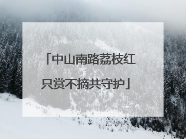 中山南路荔枝红 只赏不摘共守护