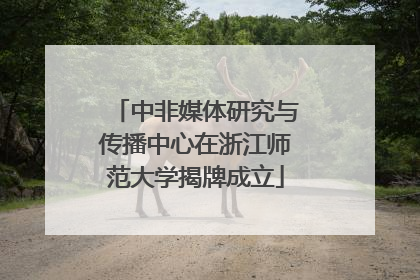 中非媒体研究与传播中心在浙江师范大学揭牌成立