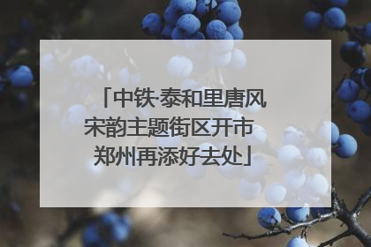 中铁·泰和里唐风宋韵主题街区开市 郑州再添好去处