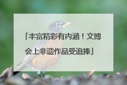 丰富精彩有内涵！文博会上非遗作品受追捧