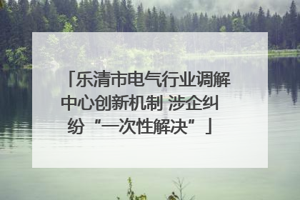 乐清市电气行业调解中心创新机制 涉企纠纷“一次性解决”