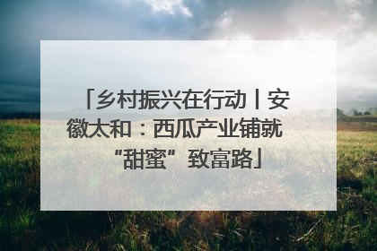 乡村振兴在行动丨安徽太和：西瓜产业铺就“甜蜜”致富路