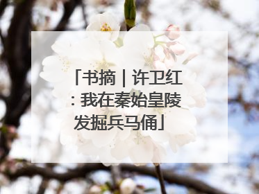 书摘｜许卫红：我在秦始皇陵发掘兵马俑