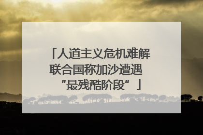 人道主义危机难解 联合国称加沙遭遇“最残酷阶段”
