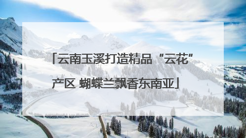 云南玉溪打造精品“云花”产区 蝴蝶兰飘香东南亚