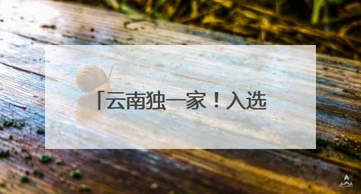 云南独一家！入选生产服务型国家物流枢纽建设名单，玉溪有何优势→