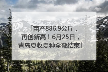 亩产886.9公斤，再创新高！6月25日，青岛夏收夏种全部结束