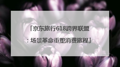 京东旅行618跨界联盟：场景革命重塑消费旅程