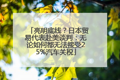 亮明底线？日本贸易代表赴美谈判：无论如何都无法接受25%汽车关税