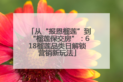 从“报恩榴莲”到“榴莲保交房”：618榴莲品类日解锁营销新玩法