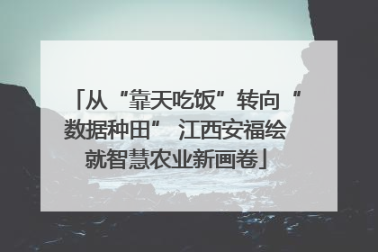 从“靠天吃饭”转向“数据种田” 江西安福绘就智慧农业新画卷