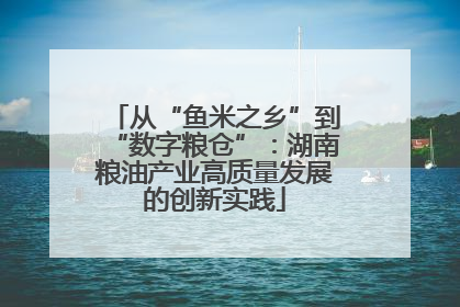 从“鱼米之乡”到“数字粮仓”：湖南粮油产业高质量发展的创新实践