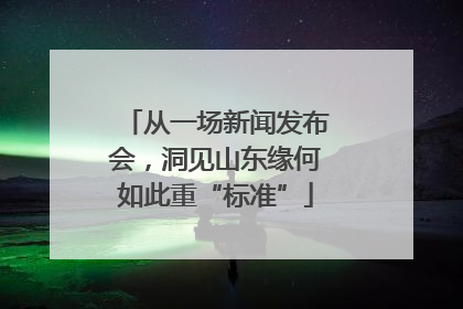 从一场新闻发布会，洞见山东缘何如此重“标准”