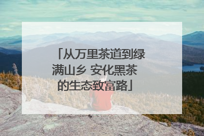 从万里茶道到绿满山乡 安化黑茶的生态致富路