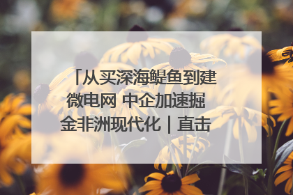 从买深海鳀鱼到建微电网 中企加速掘金非洲现代化｜直击中非经贸博览会