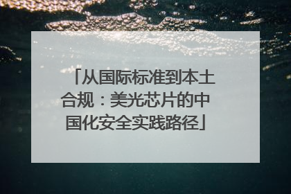 从国际标准到本土合规：美光芯片的中国化安全实践路径
