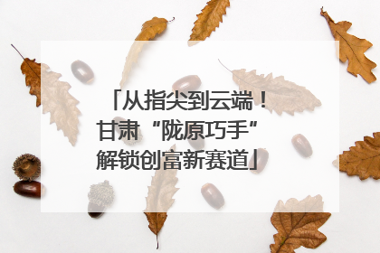 从指尖到云端！甘肃“陇原巧手”解锁创富新赛道