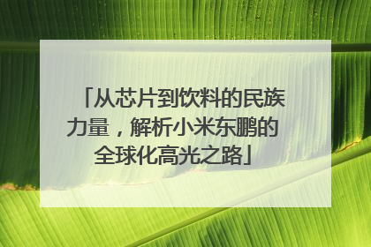 从芯片到饮料的民族力量，解析小米东鹏的全球化高光之路