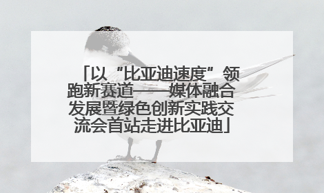 以“比亚迪速度”领跑新赛道——媒体融合发展暨绿色创新实践交流会首站走进比亚迪