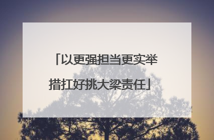 以更强担当更实举措扛好挑大梁责任