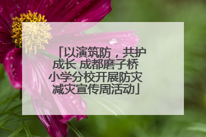以演筑防，共护成长 成都磨子桥小学分校开展防灾减灾宣传周活动
