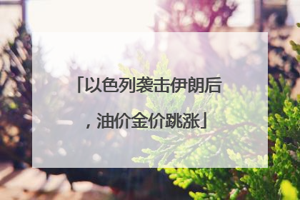 以色列袭击伊朗后，油价金价跳涨