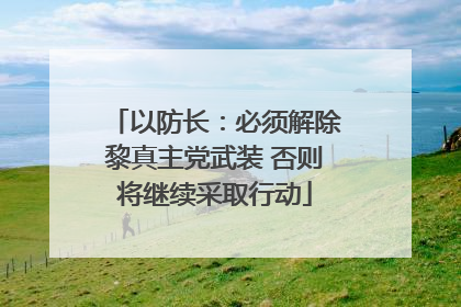 以防长：必须解除黎真主党武装 否则将继续采取行动