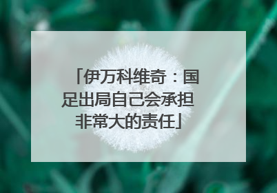 伊万科维奇：国足出局自己会承担非常大的责任