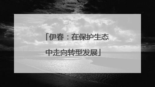 伊春：在保护生态中走向转型发展