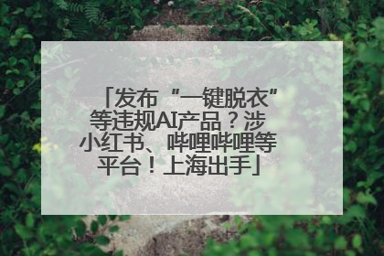 发布“一键脱衣”等违规AI产品？涉小红书、哔哩哔哩等平台！上海出手
