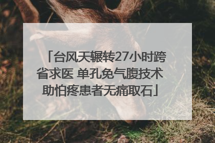 台风天辗转27小时跨省求医 单孔免气腹技术助怕疼患者无痛取石